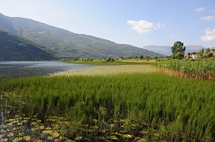 Lago di Plav452DSC_3298